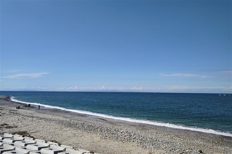 株式会社エンリージョン金田 広平